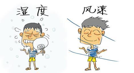 街头实测50℃,天气预报却显示39℃!“温差”哪来的? 街头实测50℃,天气预报却显示39℃!“温差”哪来的?
