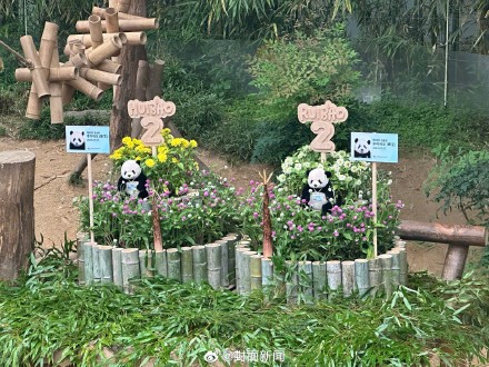 福宝双胞胎妹妹2岁了 ! 福宝双胞胎妹妹2岁了 !