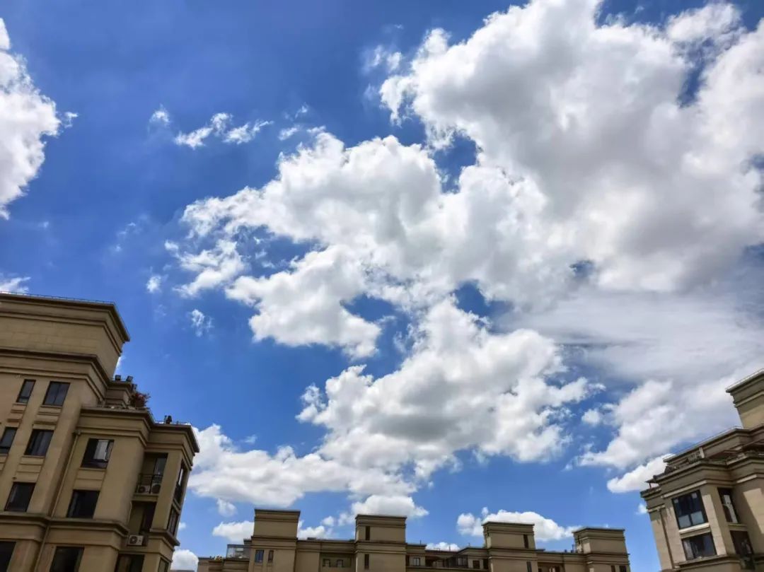 台风“丹娜丝”已致2死！预测：将二次登陆，上海风雨或加大！一地惊现54℃……