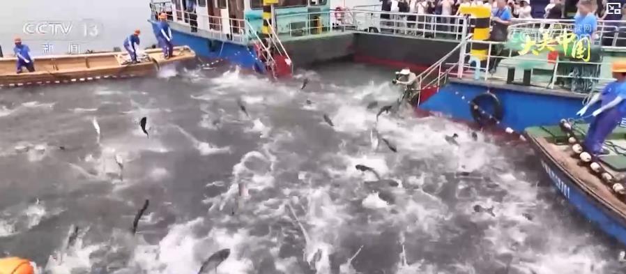 大美中国·夏日盛景丨碧水青山相辉映 绿色发展奏响生态富民新乐章 大美中国·夏日盛景丨碧水青山相辉映 绿色发展奏响生态富民新乐章