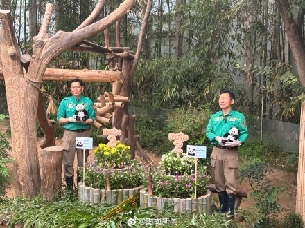 福宝双胞胎妹妹2岁了 ! 福宝双胞胎妹妹2岁了 !