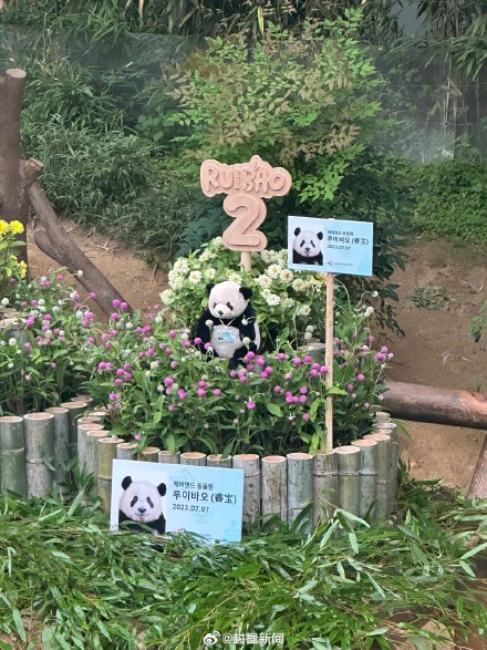 福宝双胞胎妹妹2岁了 ! 福宝双胞胎妹妹2岁了 !