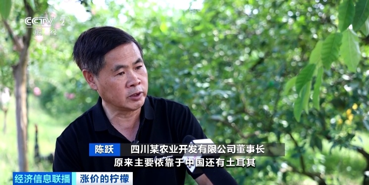 出口订单爆了！它，价格“狂飙”！