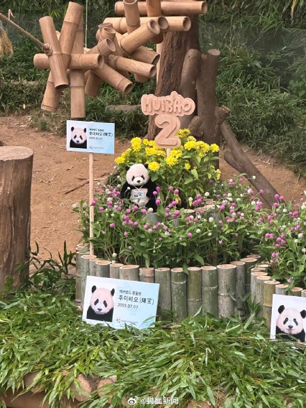 福宝双胞胎妹妹2岁了 ! 福宝双胞胎妹妹2岁了 !