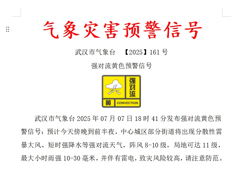 武汉发布强对流预警！雷电、强降水、11级大风今晚就到