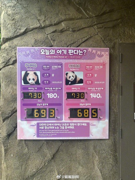 福宝双胞胎妹妹2岁了 ! 福宝双胞胎妹妹2岁了 !