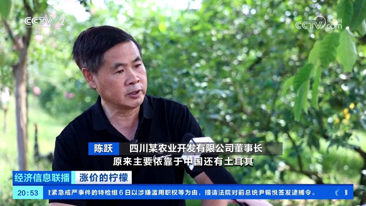 国际订单“抢空”库存 全球供应趋紧推高柠檬价格 国际订单“抢空”库存 全球供应趋紧推高柠檬价格