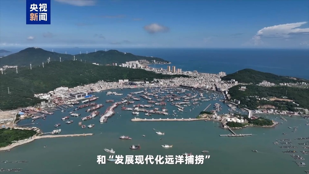 湾区速评丨大湾区发展海洋经济 这件“小事”为何这么关键? 湾区速评丨大湾区发展海洋经济 这件“小事”为何这么关键?