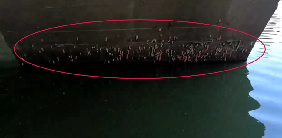 警惕!襄阳市民河边散步发现……看到立刻上报! 警惕!襄阳市民河边散步发现……看到立刻上报!