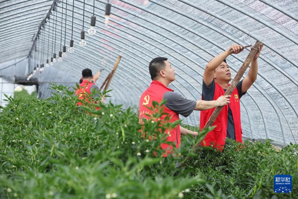 应对台风“丹娜丝”