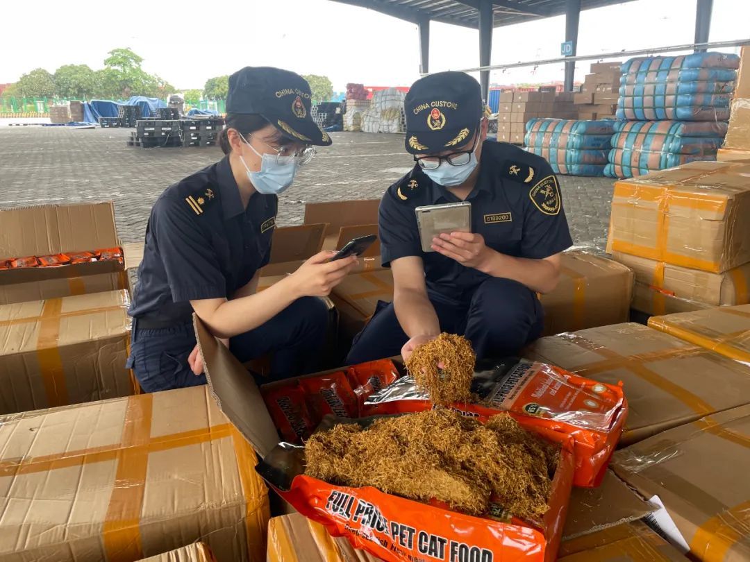 广州海关查获一批夹藏出口的香烟烟丝，重3200千克，查验时发现外包装为猫粮