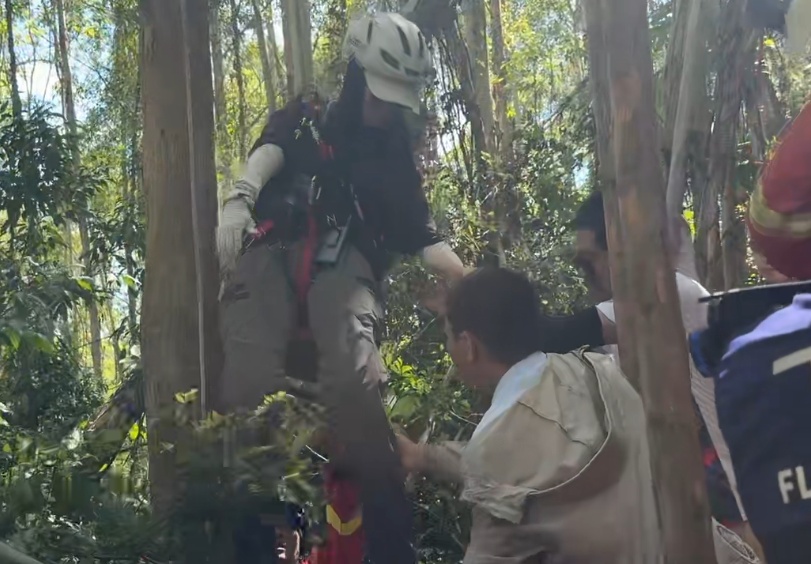 女子的新爱好，让自己“飞”到10余米高树上……