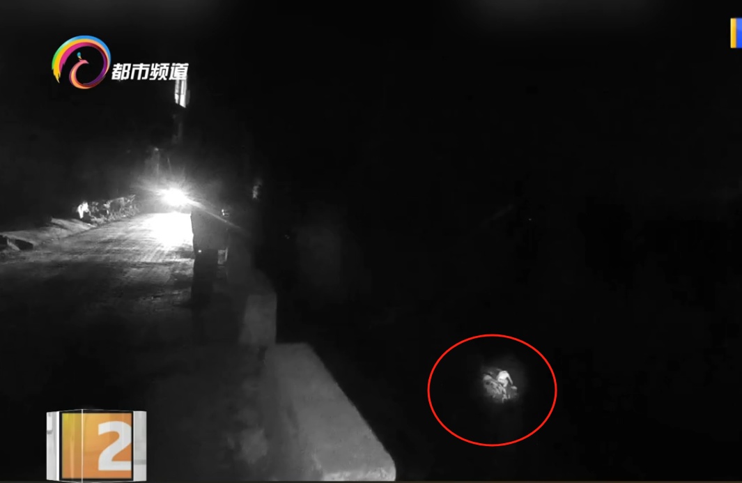 危险！男子突然倒车撞上后车，又弃车逃跑，跳入江中！这番操作是为啥？