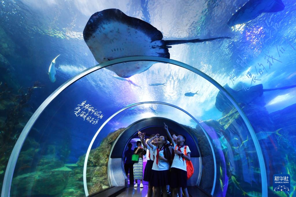 缤纷暑期 缤纷暑期