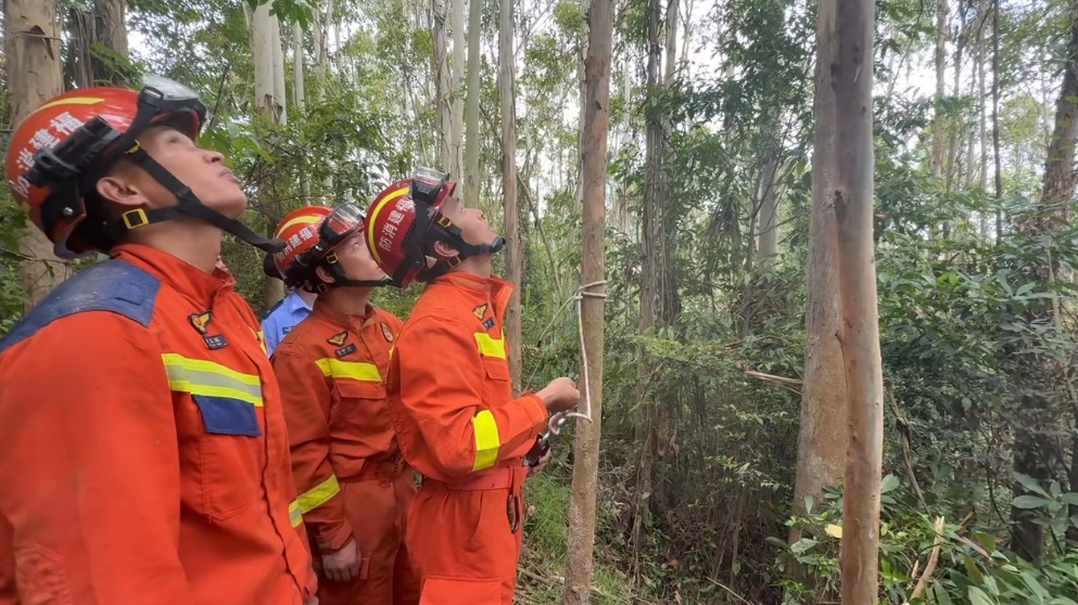 女子的新爱好，让自己“飞”到10余米高树上……