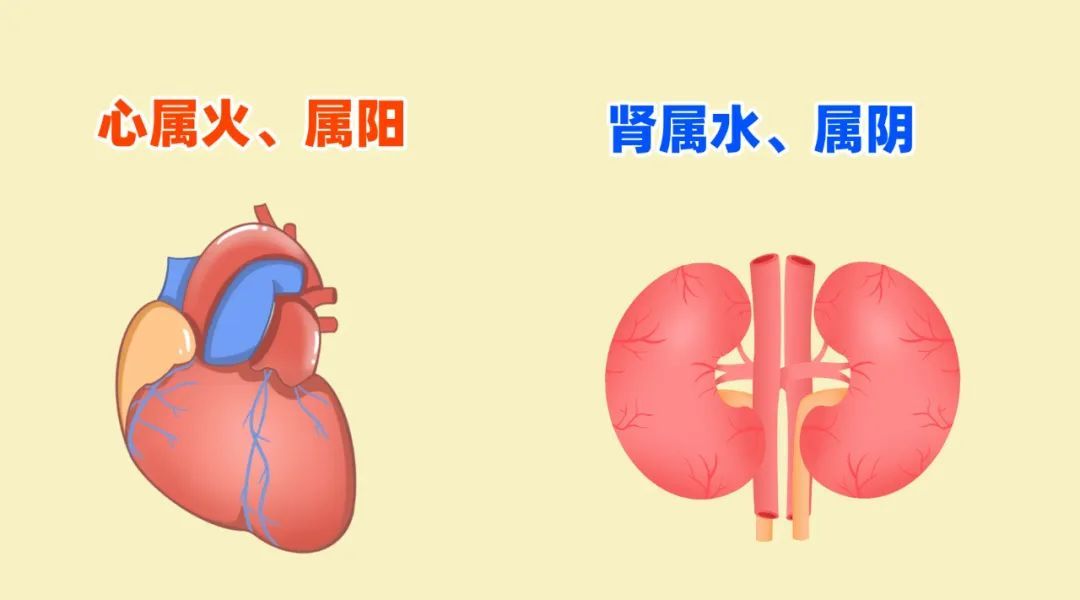 心肾不交的人，明明很困却睡不着！中医一招沟通心肾，让人躺下就能睡
