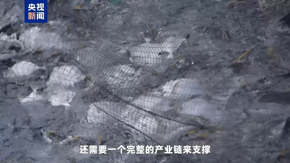 湾区速评丨大湾区发展海洋经济 这件“小事”为何这么关键? 湾区速评丨大湾区发展海洋经济 这件“小事”为何这么关键?