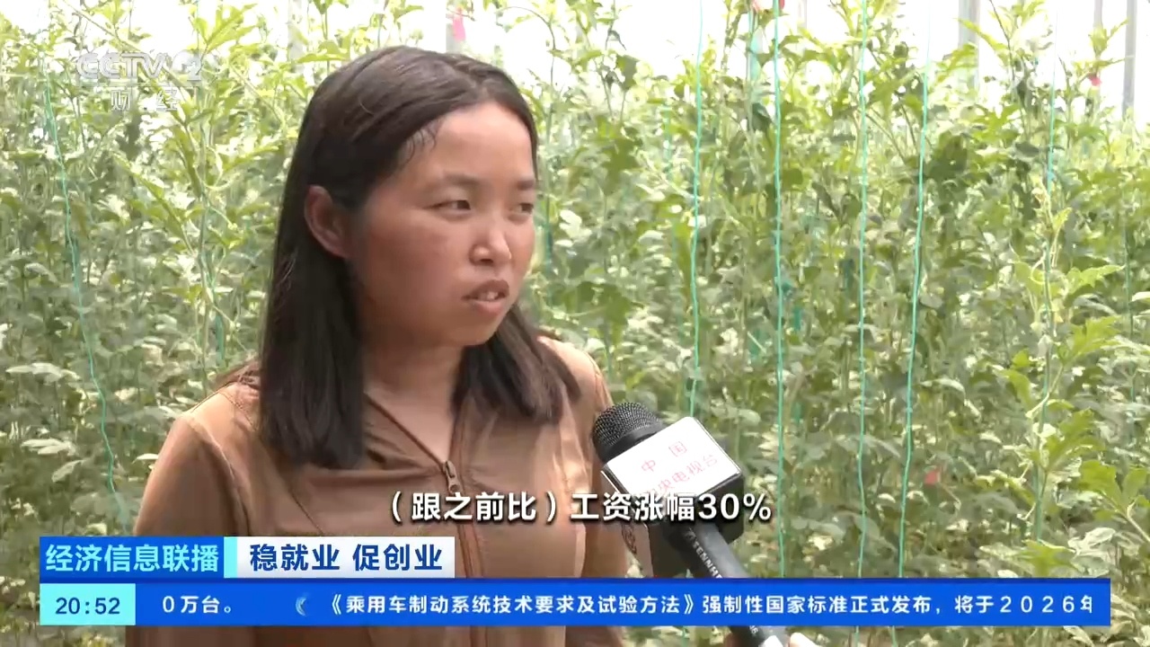 财政补贴、低息贷款……安徽砀山多方助力返乡创业者