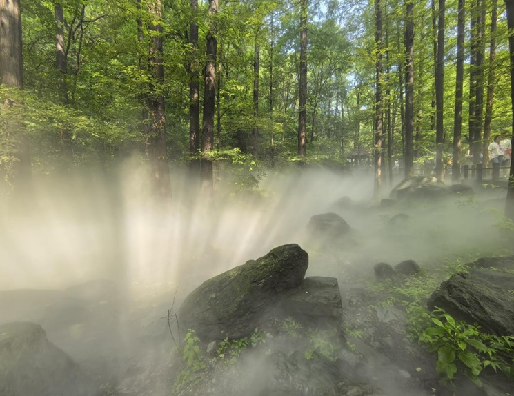 打造消暑纳凉好去处 国家植物园樱桃沟水杉林喷雾增加开放时间