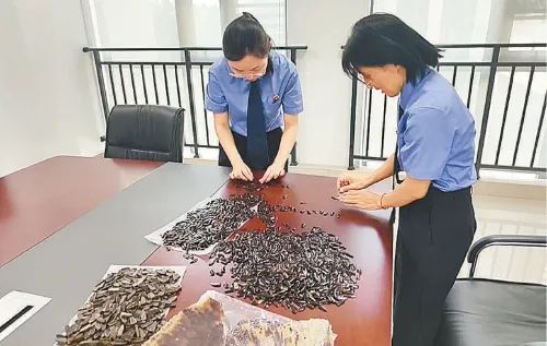 古筝学生网购“银甲”，牵出一条玳瑁义甲黑产链……