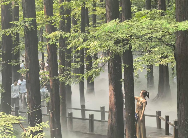 打造消暑纳凉好去处 国家植物园樱桃沟水杉林喷雾增加开放时间