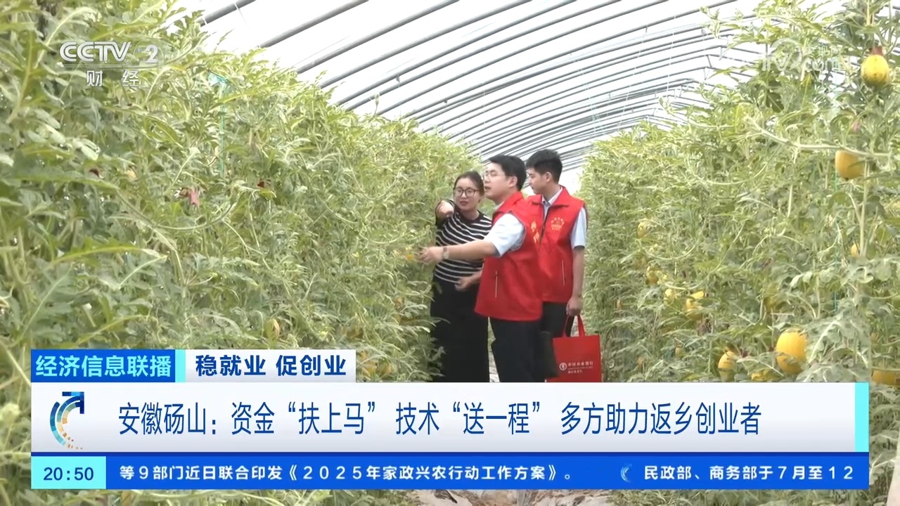 财政补贴、低息贷款……安徽砀山多方助力返乡创业者