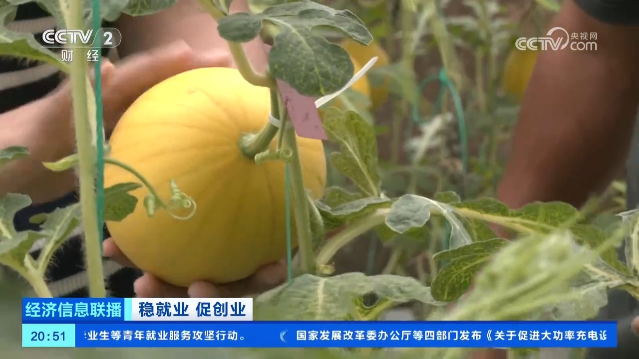 财政补贴、低息贷款……安徽砀山多方助力返乡创业者