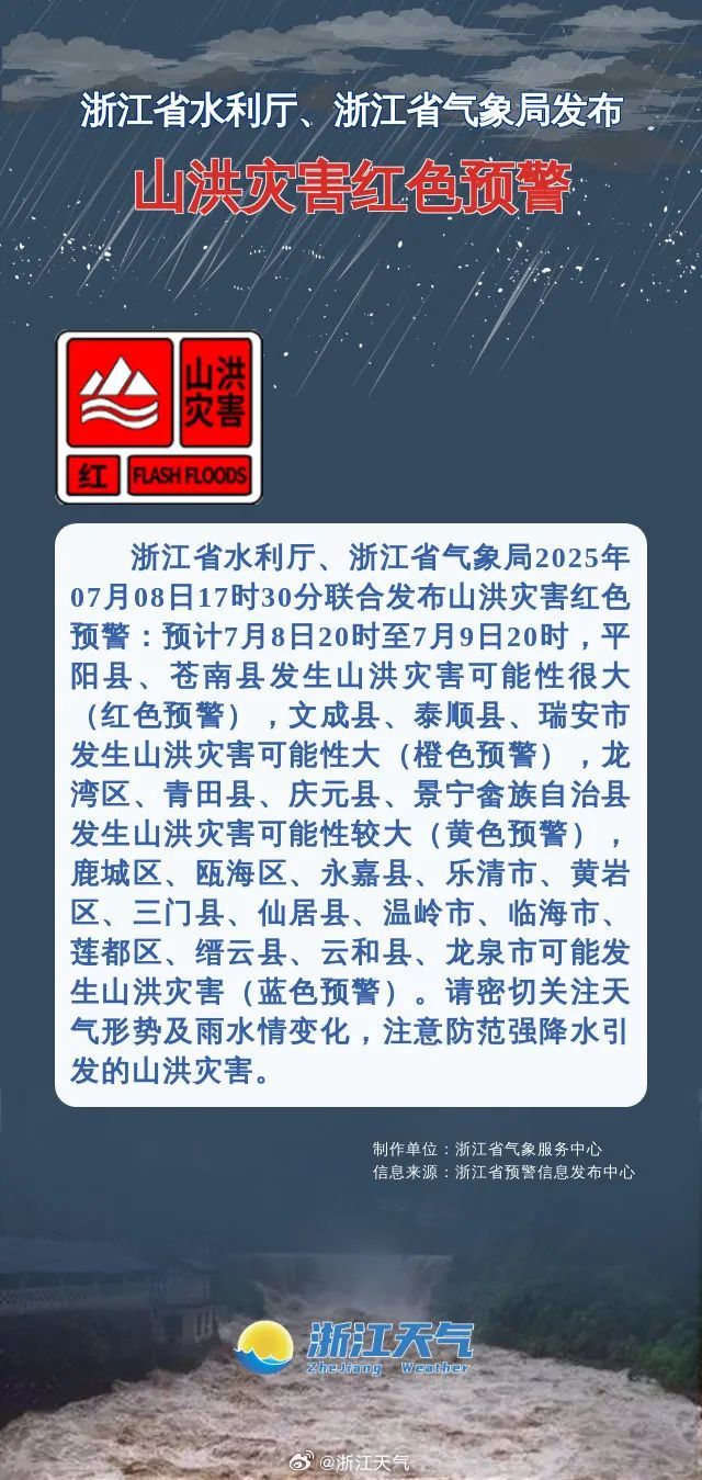 西湖边有柳树被吹断枝！暴雨、大暴雨！今晚尽量别出门