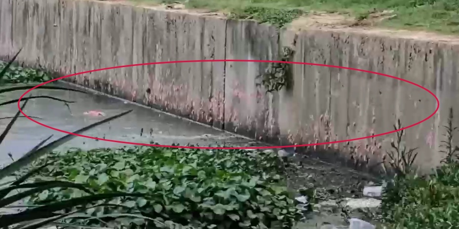 警惕!襄阳市民河边散步发现……看到立刻上报! 警惕!襄阳市民河边散步发现……看到立刻上报!