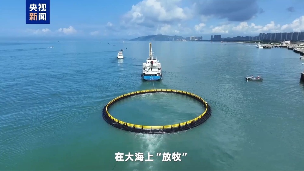 湾区速评丨大湾区发展海洋经济 这件“小事”为何这么关键? 湾区速评丨大湾区发展海洋经济 这件“小事”为何这么关键?