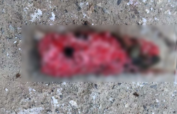 警惕!襄阳市民河边散步发现……看到立刻上报! 警惕!襄阳市民河边散步发现……看到立刻上报!