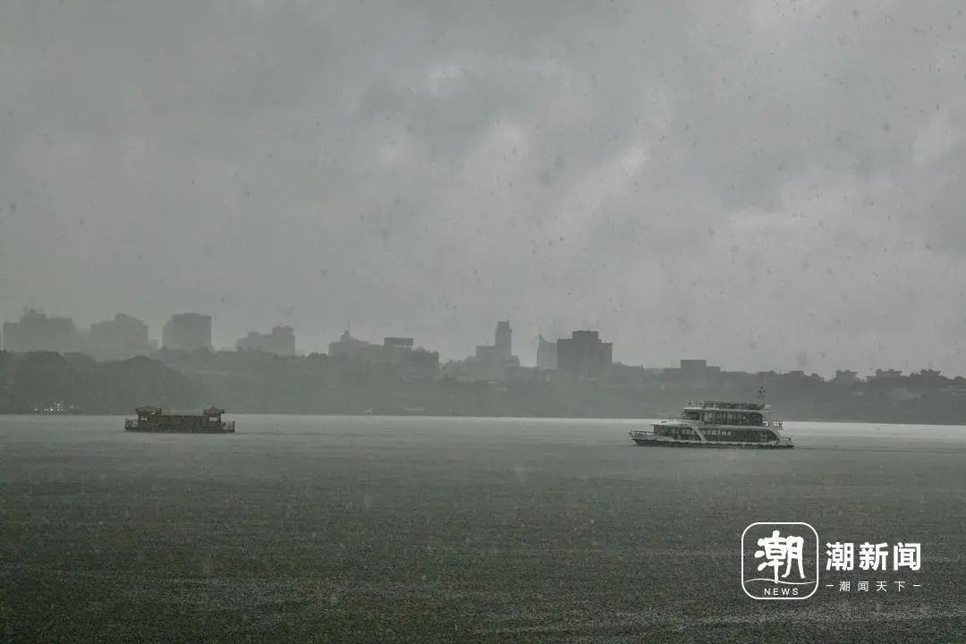西湖边有柳树被吹断枝！暴雨、大暴雨！今晚尽量别出门