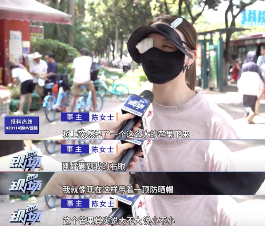 绿化芒从4层楼高树上掉落，路过女子右眼被砸伤