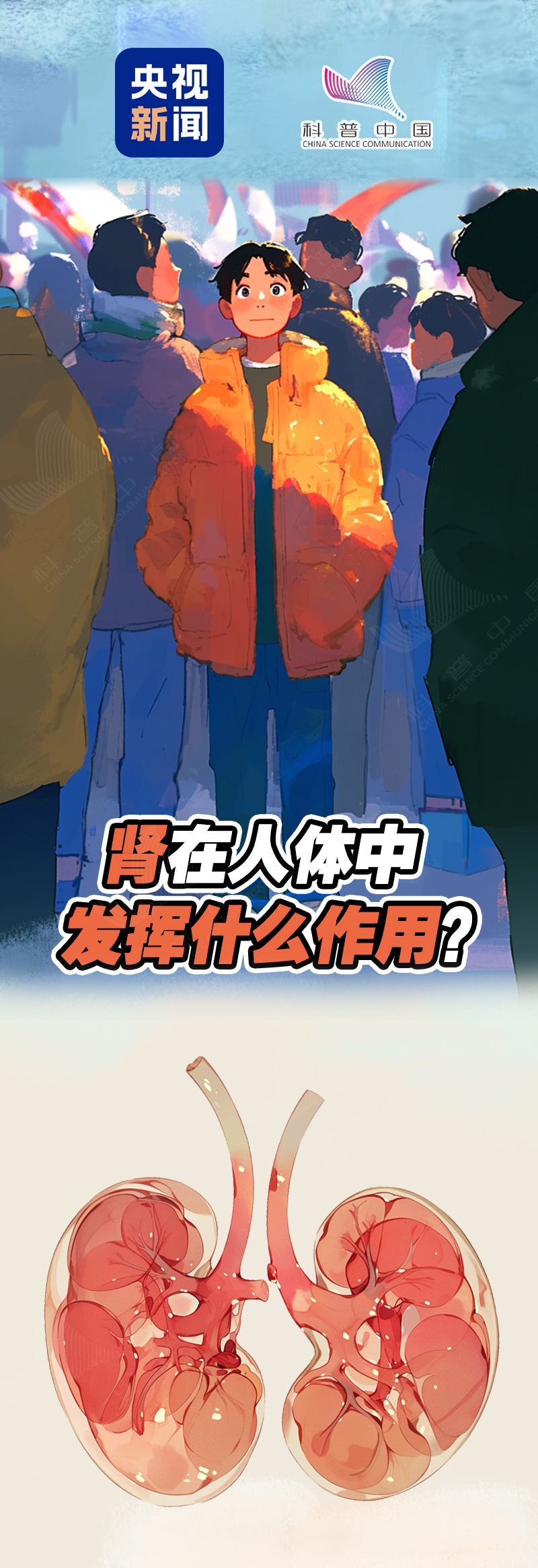 这5个行为,正在悄悄伤害你的肾→ 这5个行为,正在悄悄伤害你的肾→