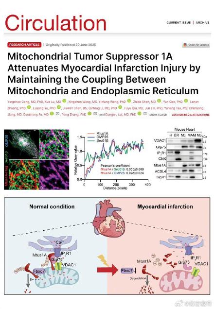 浙大科研团队发现心肌梗死修复关键靶点