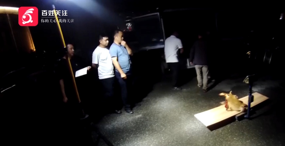 严惩！三人欲贩卖“问题牛肉”，贵州警方当场查获400公斤