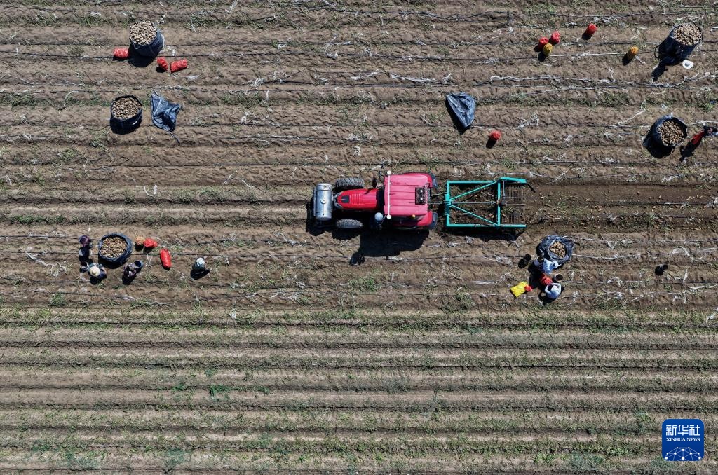 河北丰南:“一村一品”助力乡村振兴 河北丰南:“一村一品”助力乡村振兴
