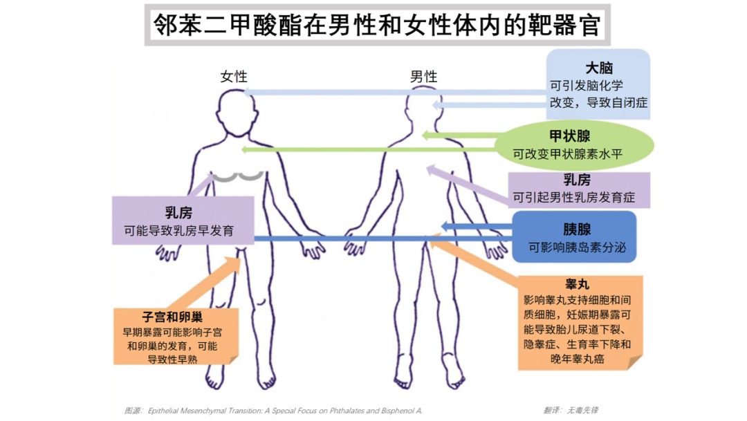 最高超标509倍！这种“毒拖鞋”，别买！