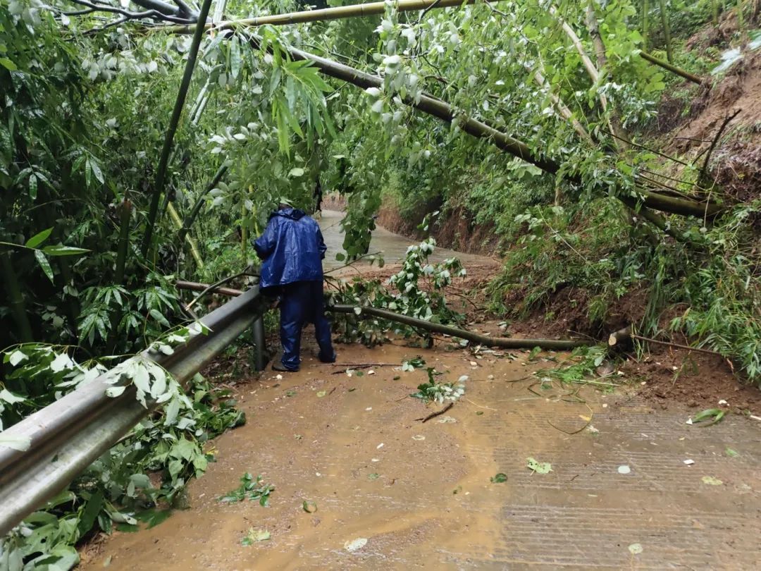 四川宜宾兴文发生一处山体滑坡,失联人员已成功获救 四川宜宾兴文发生一处山体滑坡,失联人员已成功获救
