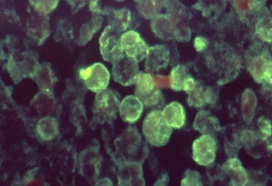 家长注意！重要提醒→