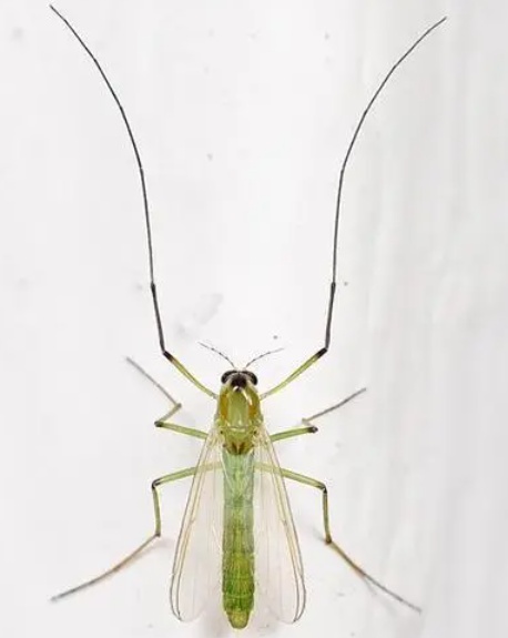 冲上热搜!杭州人注意:这杯水千万别喝 冲上热搜!杭州人注意:这杯水千万别喝