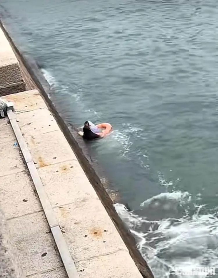 青岛栈桥附近,女孩落水挣扎起伏!57岁“玉米姐”跳海1分钟拽回 青岛栈桥附近,女孩落水挣扎起伏!57岁“玉米姐”跳海1分钟拽回