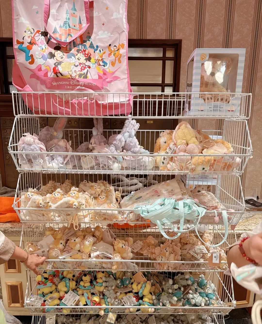 通宵排队只为抢一个“娃” ？迪士尼新品发布，抽中签才能买，入园越早中签概率越大