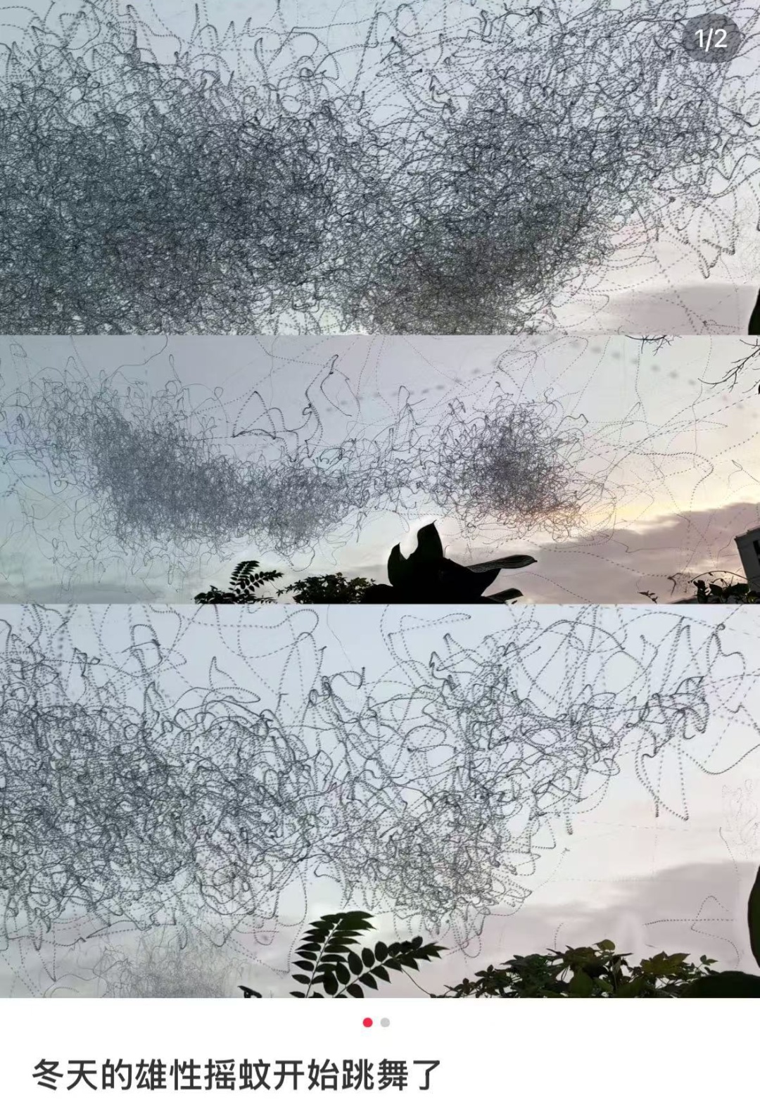 冲上热搜!杭州人注意:这杯水千万别喝 冲上热搜!杭州人注意:这杯水千万别喝