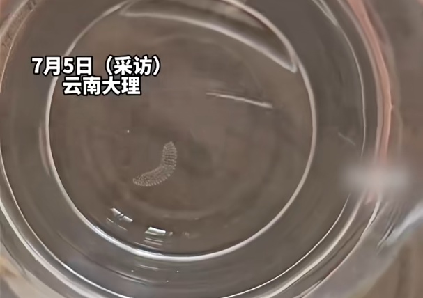 喝了隔夜水里的蚊子卵!专家:没事 喝了隔夜水里的蚊子卵!专家:没事