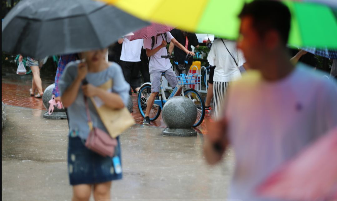 连发32条高温预警！“桑拿天”暴击！本周沈阳唯一降雨时间就在……