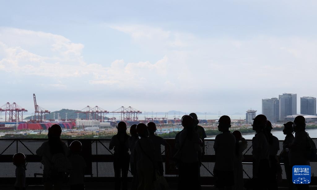 “小候鸟”大湾区幸福行 “小候鸟”大湾区幸福行