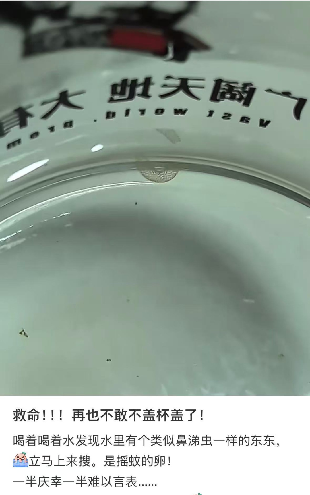 别喝这杯水!一堆“蚊子卵”可能已经下肚 别喝这杯水!一堆“蚊子卵”可能已经下肚