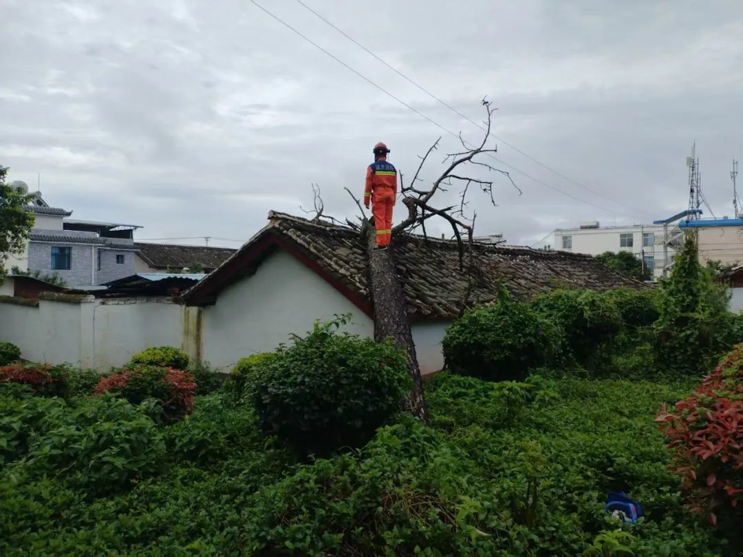 中到大雨局部暴雨、大暴雨……云南多地遭遇强降雨，消防出动抢险救援，未来几天天气→