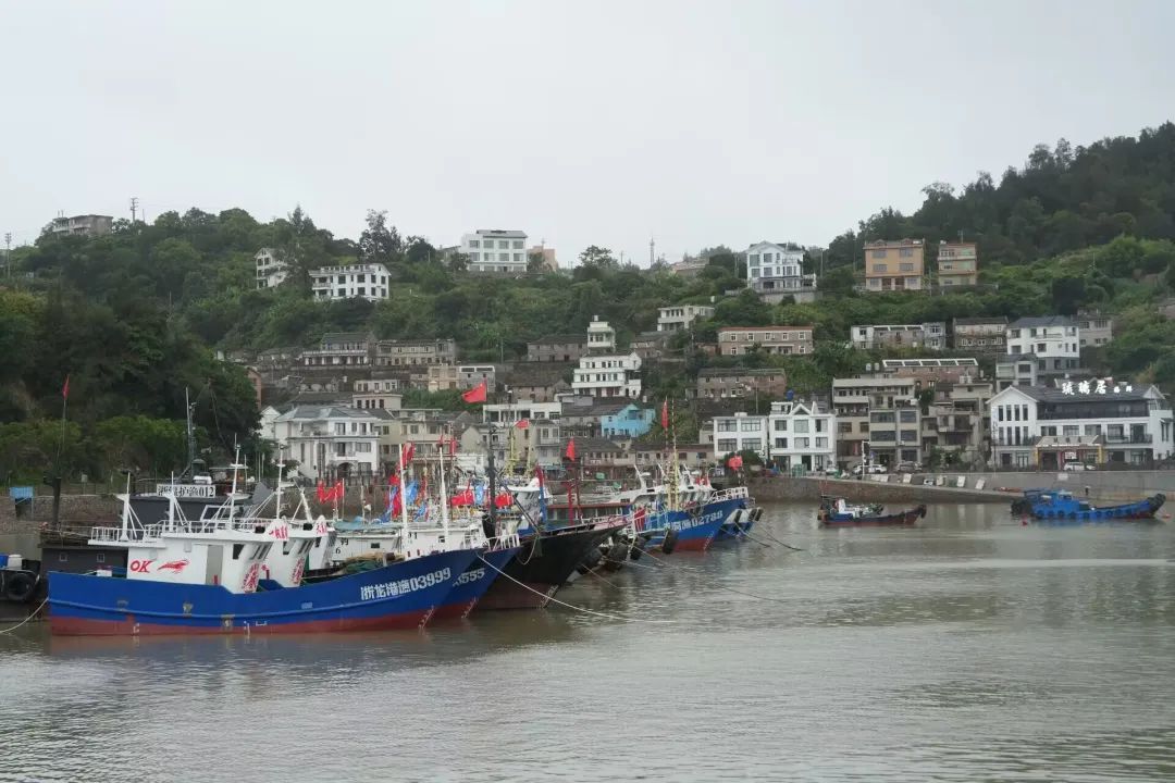 高温、暴雨、台风轮番来袭，各地密集行动！